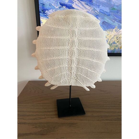Tortuga Shell Sculpture - Picture 1 of 5
